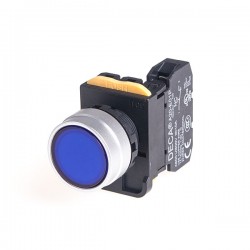 22mm LED Illuminated maintained pushbutton switch, Metal bezel flush head, 110V 10A 1NO, LED 12V AC/DC, Blue