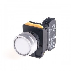 22mm LED Illuminated maintained pushbutton switch, Metal bezel flush head, 110V 10A 1NO, LED 110V AC/DC, White