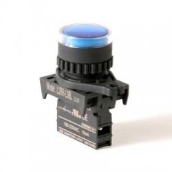Autonics 22/25mm LED Illuminated Pilot Lamp, Flush head,  12-30VAC/DC, Blue