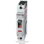 MCCB, Molded Case Circuit Breaker, 1 Pole, 15A, 100kA@240VAC, Fixed thermal/magnetic, Lugs Line/Load Side, UL Listed