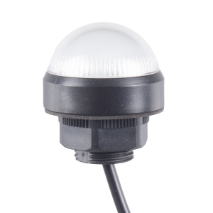 40mm Dome LED White indicator, 24VDC, Direct mount w/20mm nut, 700mm cable